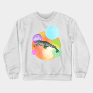 Frog Angel Crewneck Sweatshirt